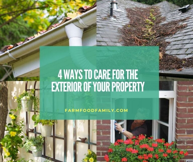 4 Ways to Care for the Exterior of Your Property