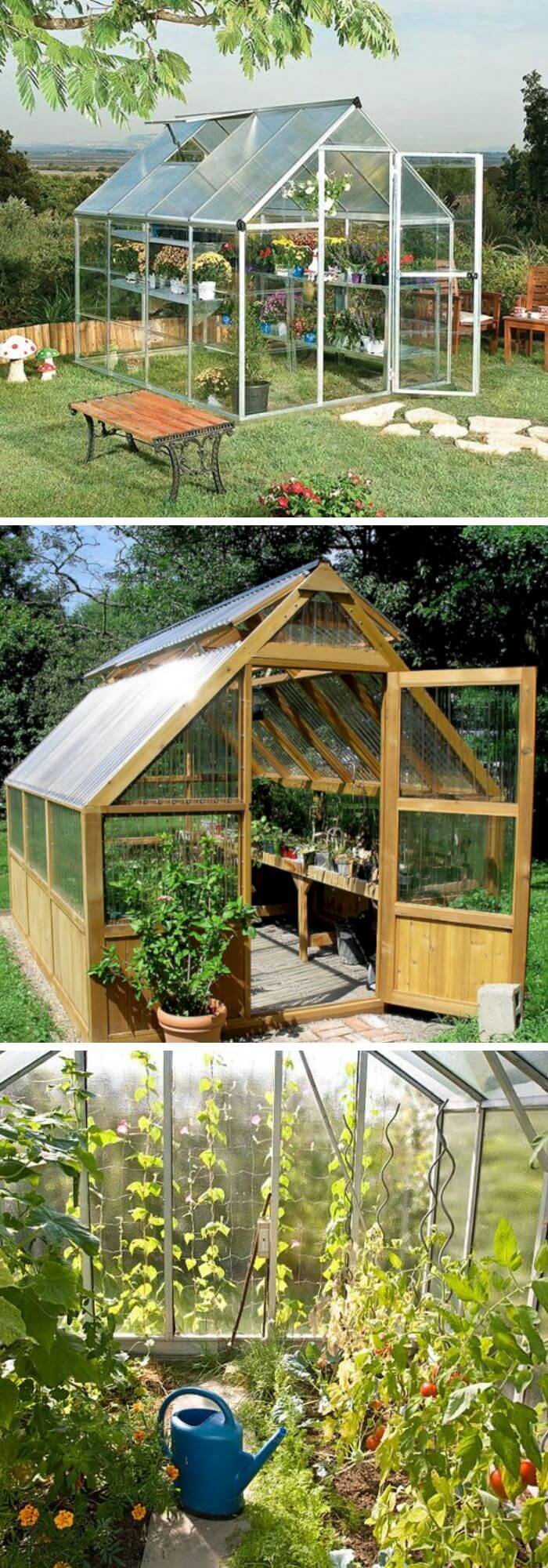 Backyard DIY Mini-Greenhouse