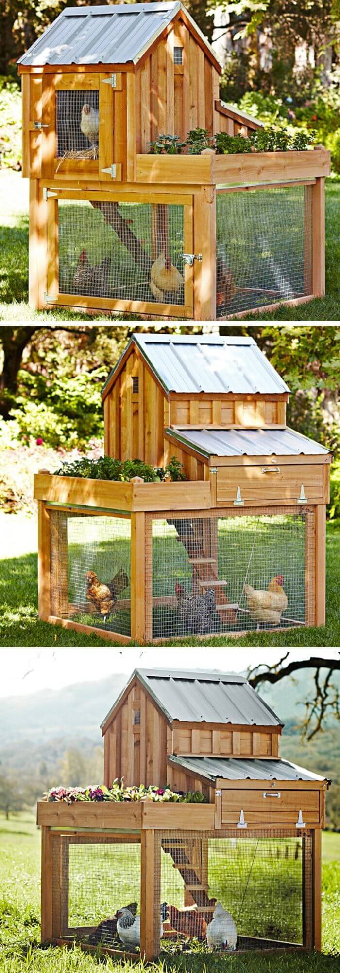 14 cheap chicken coop plans