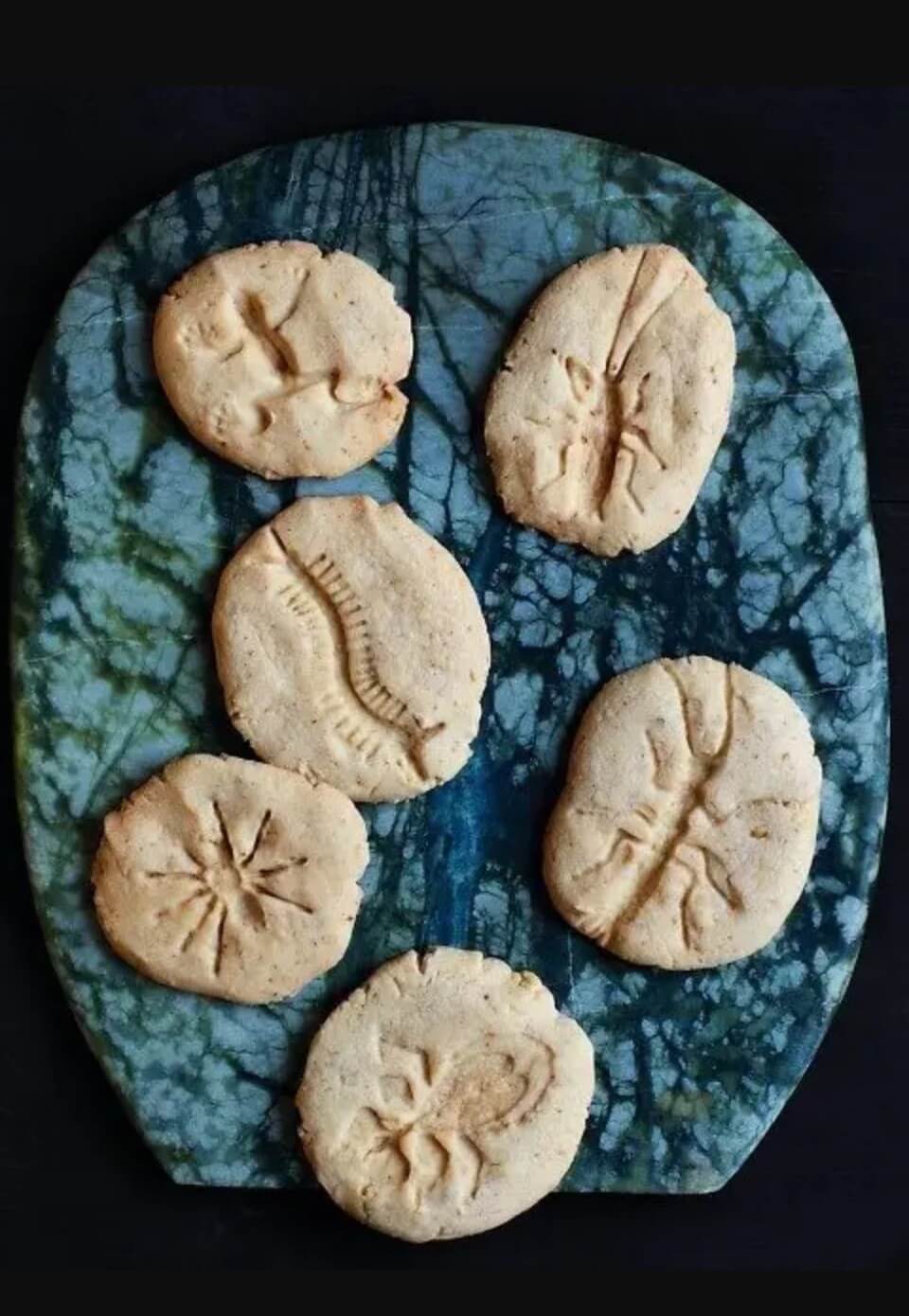 Fossil cookies