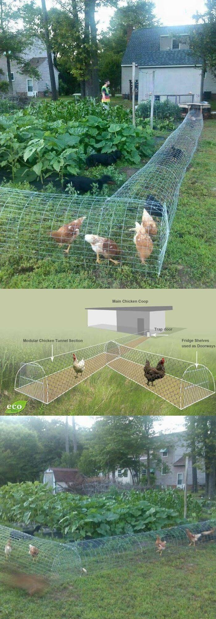 9 cheap chicken coop plans
