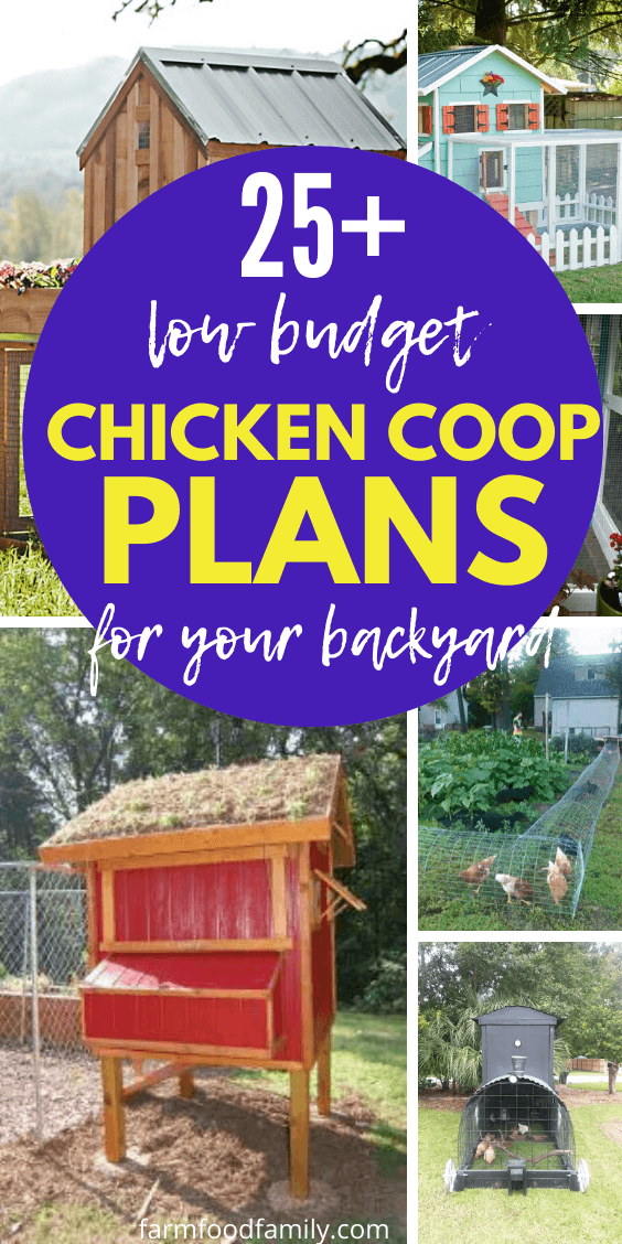 best chicken coop plans