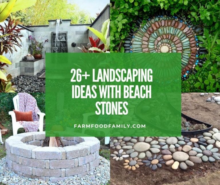 30 Amazing Landscaping Ideas with Beach stones
