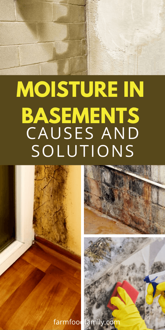 moisture in basements solutions