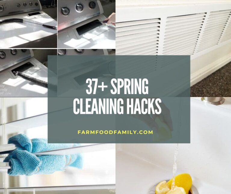 37+ Genius Spring Cleaning Hacks and Tips (Time-Saving & Cheap)