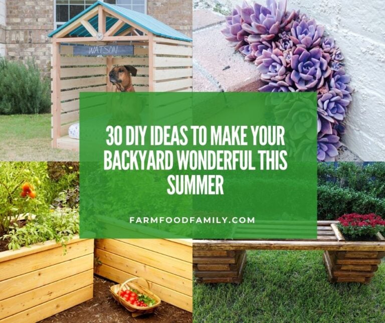 30 DIY Ideas to Make Your Backyard Wonderful This Summer
