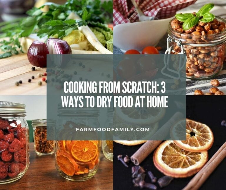 Cooking From Scratch: 3 Ways to Dry Food at Home
