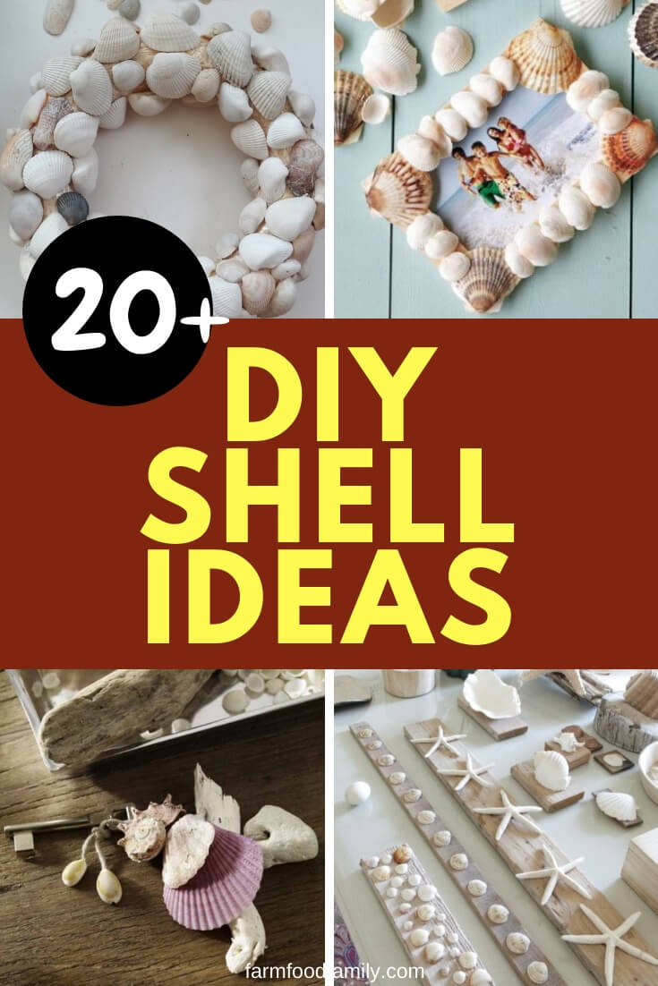 20 DIY Shell Ideas 1