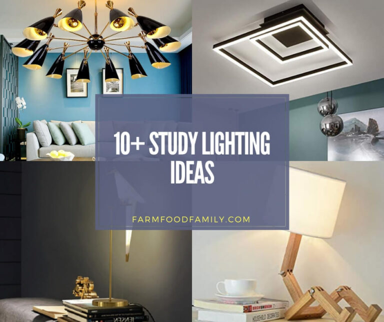 10+ Best Study Lighting Ideas and Designs