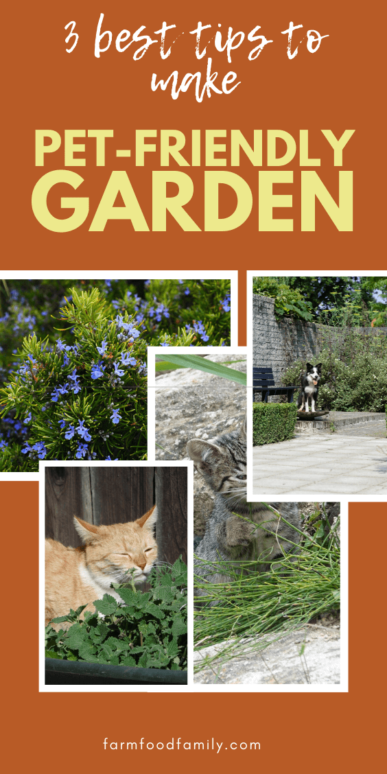 how to make garden safe for pets 1