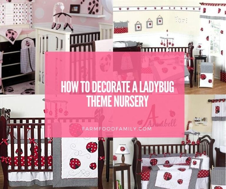 How to Decorate a Ladybug Theme Nursery for a Baby Girl’s Bedroom