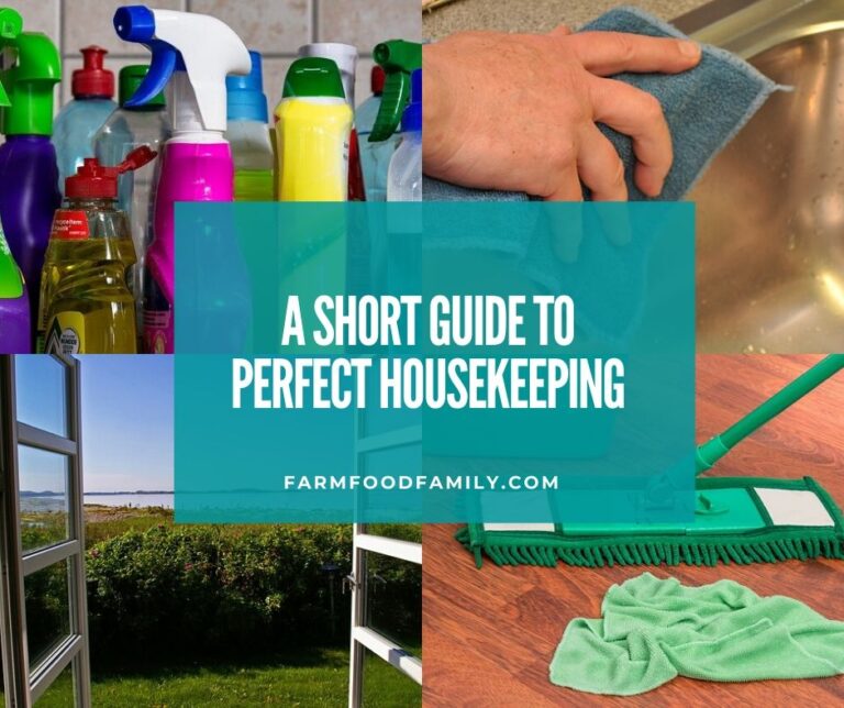 A Short Guide to Perfect Housekeeping