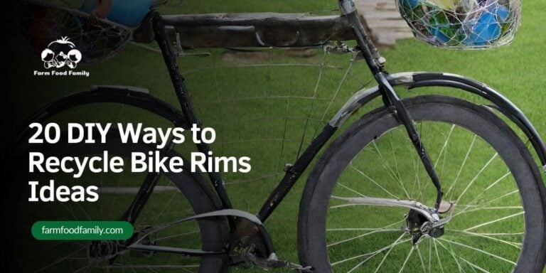 20 DIY Ways to Recycle Bike Rims Ideas for 2026