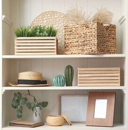 white shelving unit with plants and different decorative stuff