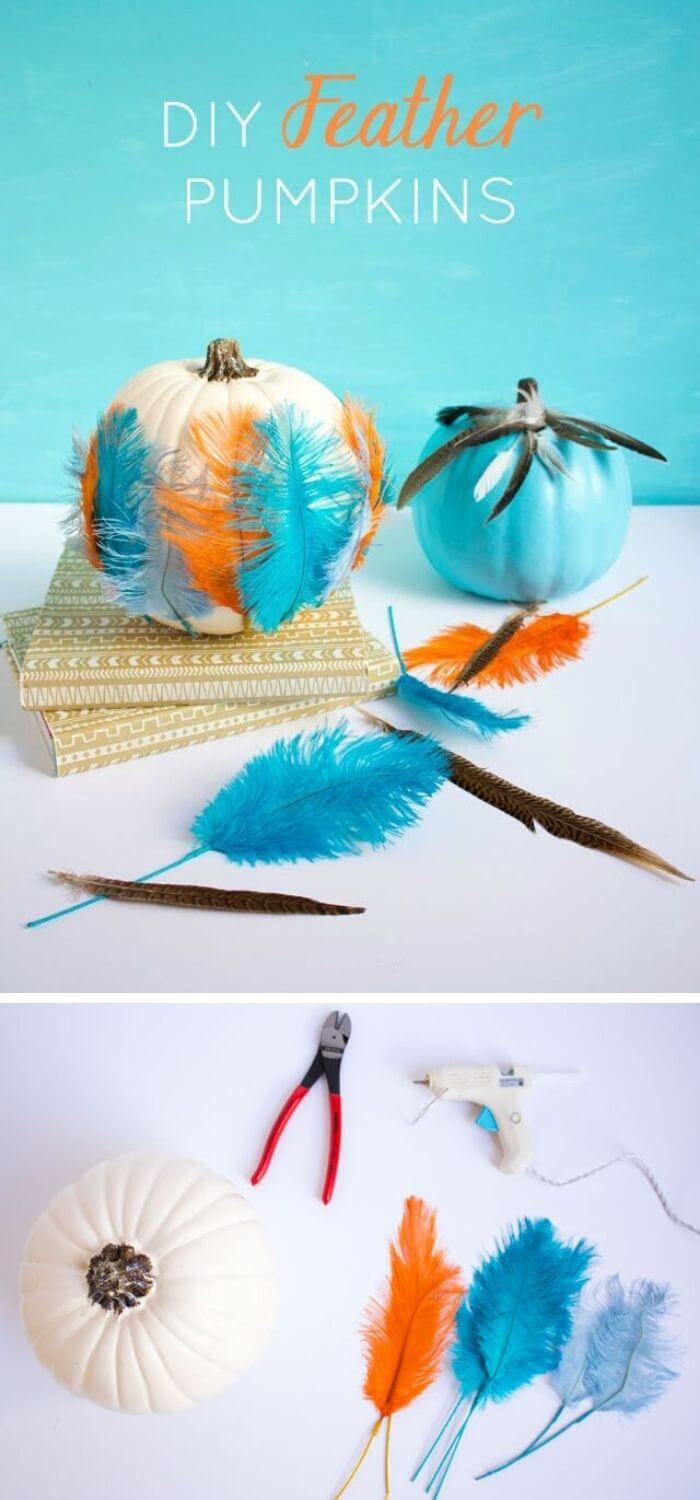 10 Lovely DIY Feather Craft Ideas and Projects