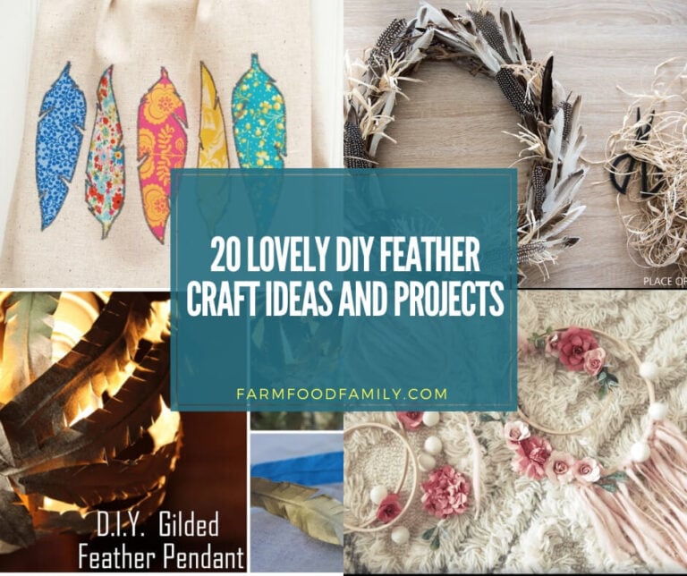 20 Lovely DIY Feather Craft Ideas and Projects