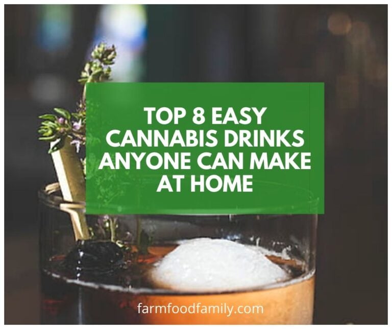 Top 8 Easy Cannabis Drinks Anyone Can Make at Home