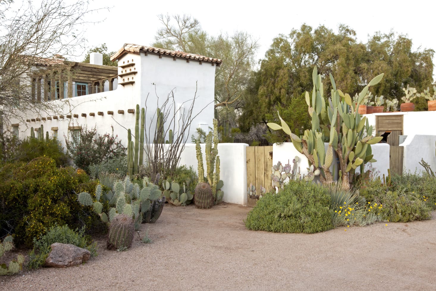 10 arizona backyard landscaping ideas
