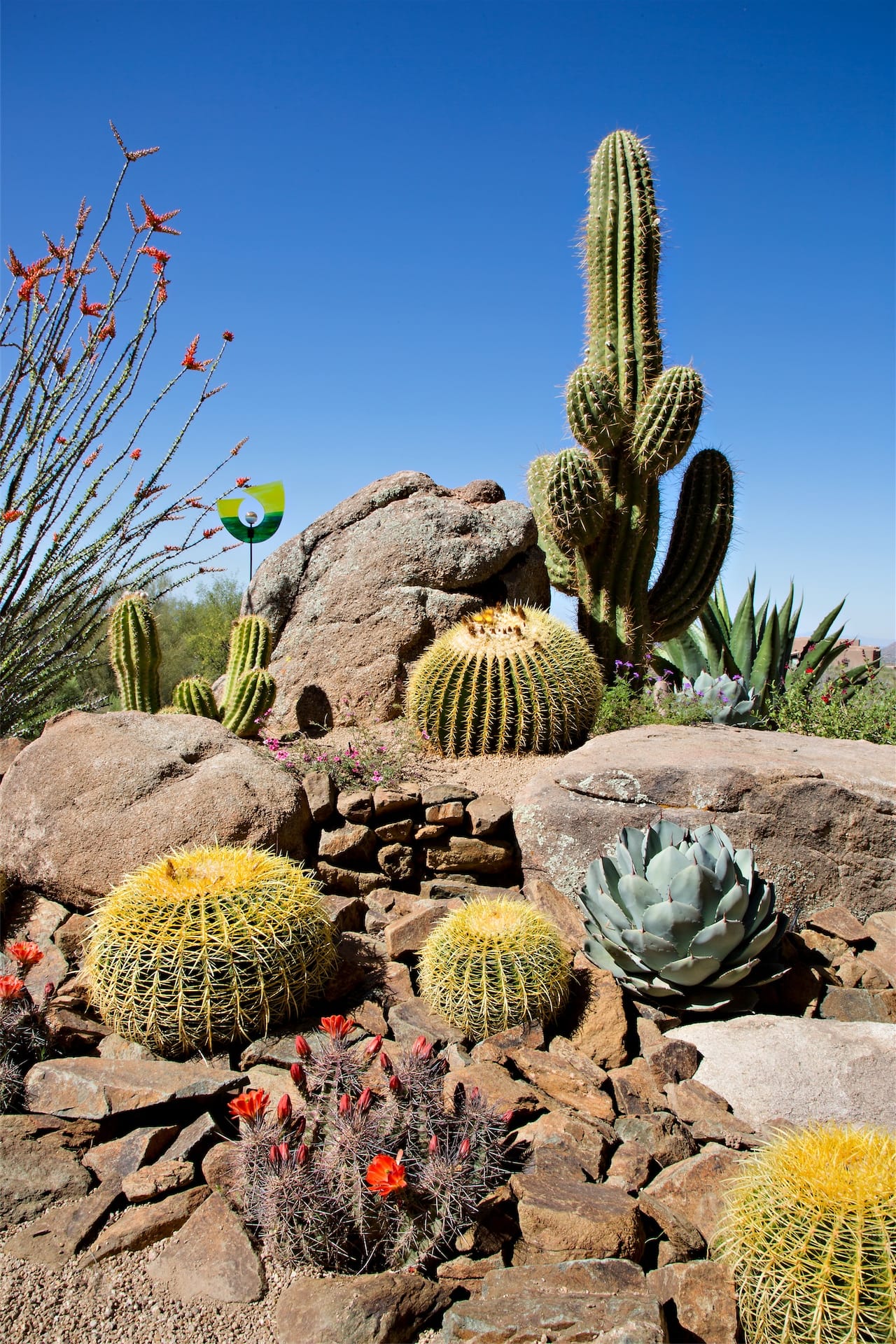 11 desert landscaping ideas