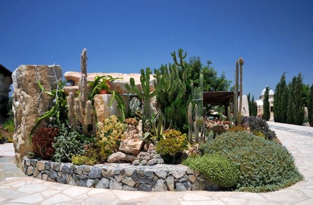 12 desert landscaping ideas