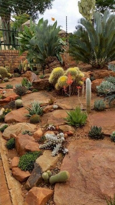 19 desert landscaping ideas