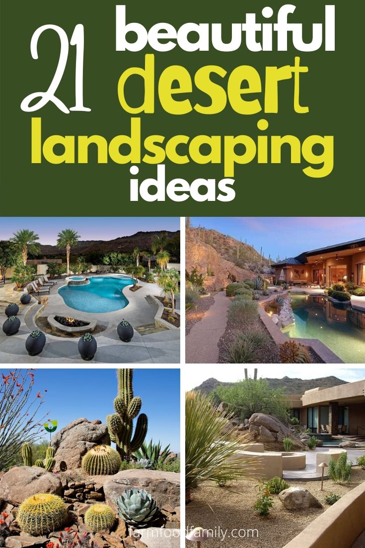 best desert landscaping ideas
