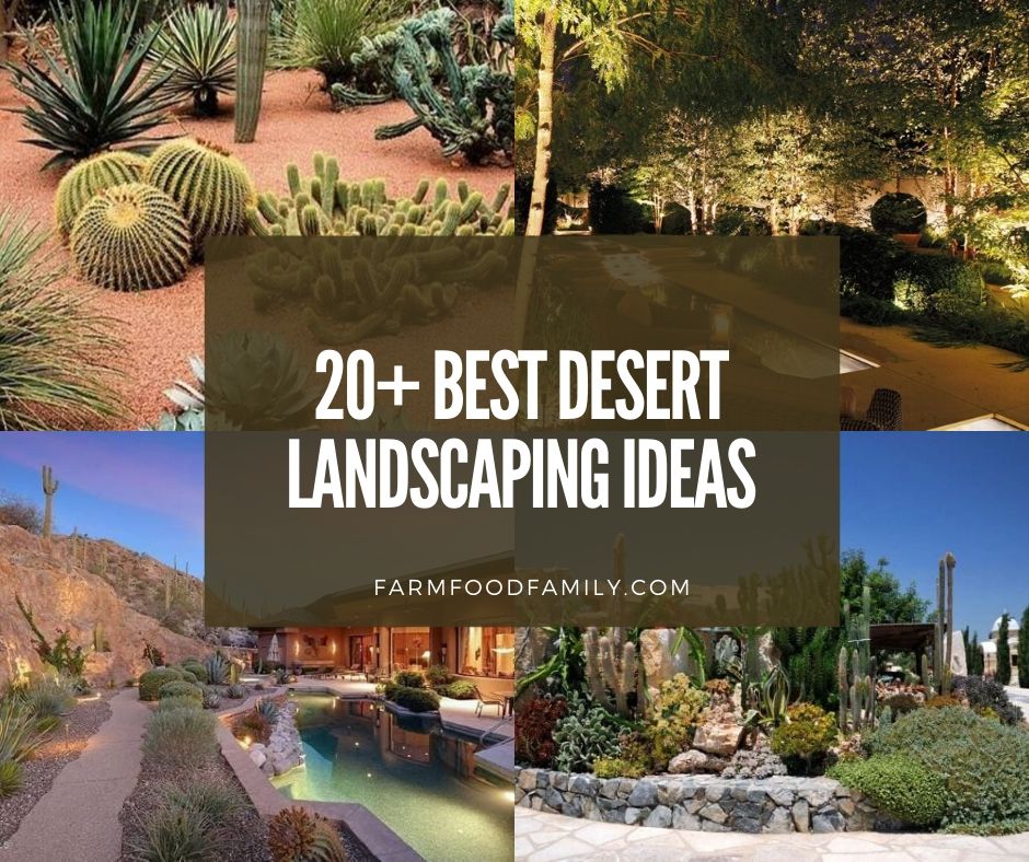 Desert Backyard Landscaping Ideas, Big Backyard Landscaping Ideas On A Budget