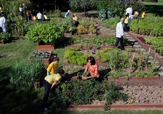 garden help relieve stress