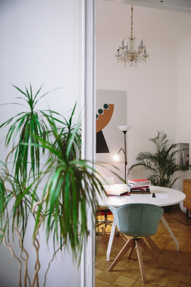 green indoor plant beside a round white table 3747416