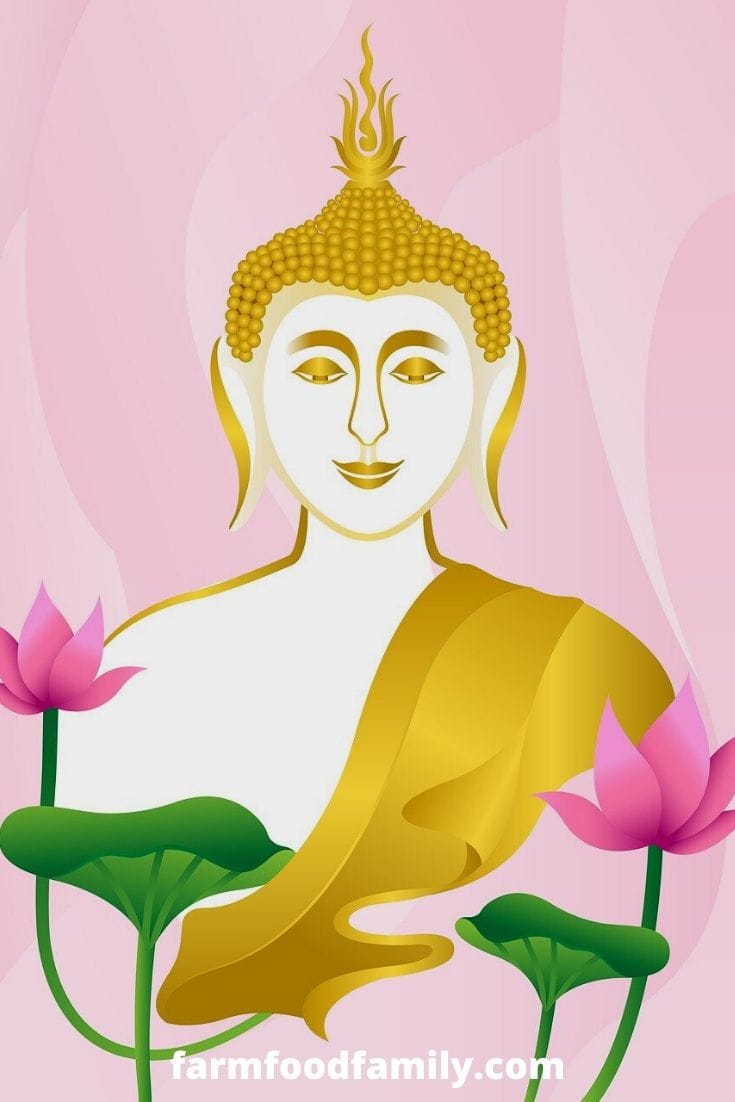 Lotus flower meaning in Buddhism