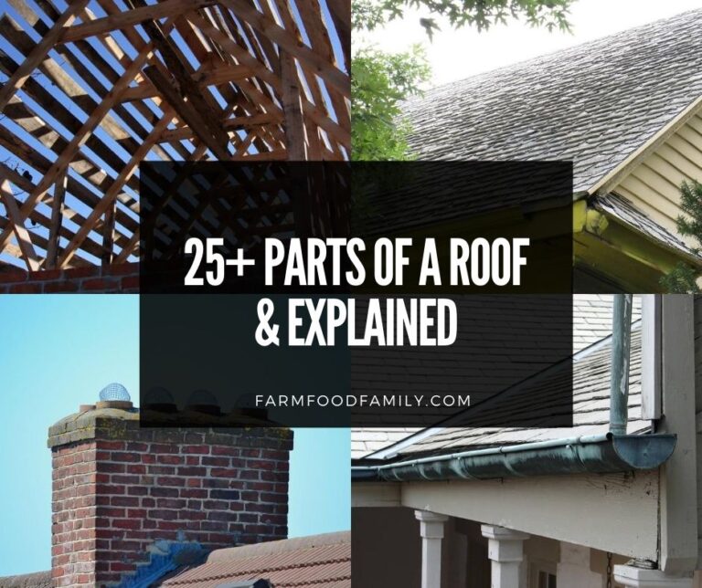 25+ Parts Of A Roof And Their Functions (Explained and Pictures)