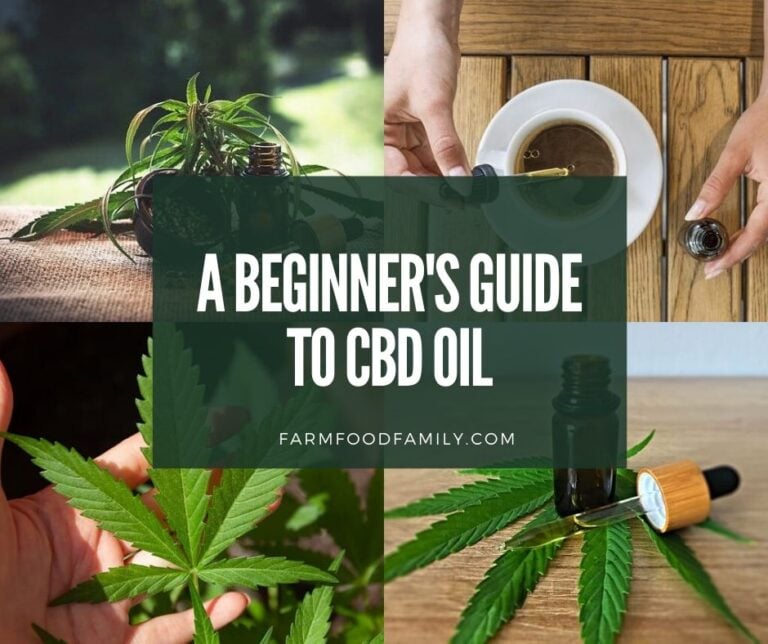 What Is CBD, And What Does It Stand For?