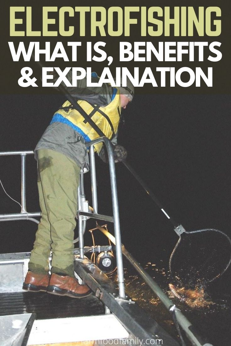 electrofishing detailed guide