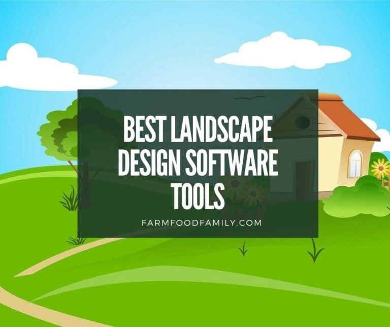 best landscape design software tools