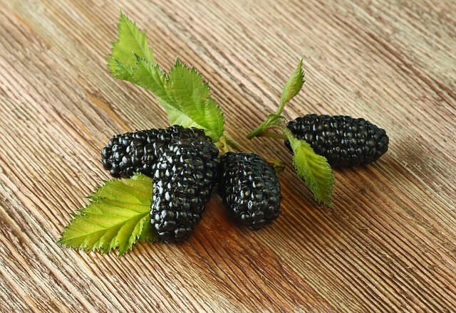 Mulberries are Healthy and Delicious