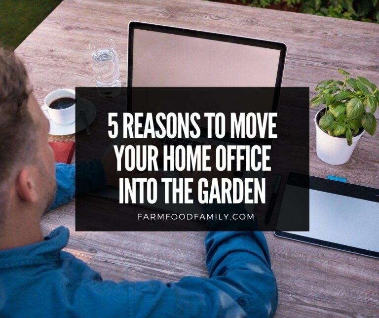 5 Reasons To Move Your Home Office Into The Garden