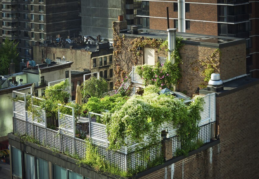 Rooftop/patio lattice fence