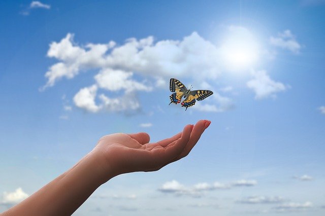 What does it mean when a butterfly flies around you? 