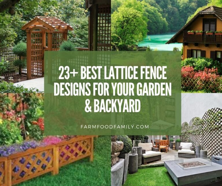 23+ Best Lattice Fence Ideas and Designs For Your Garden and Backyard