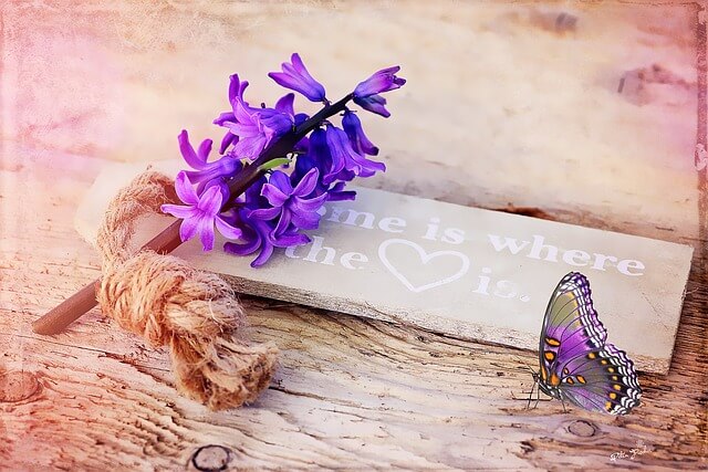 Purple butterfly meaning