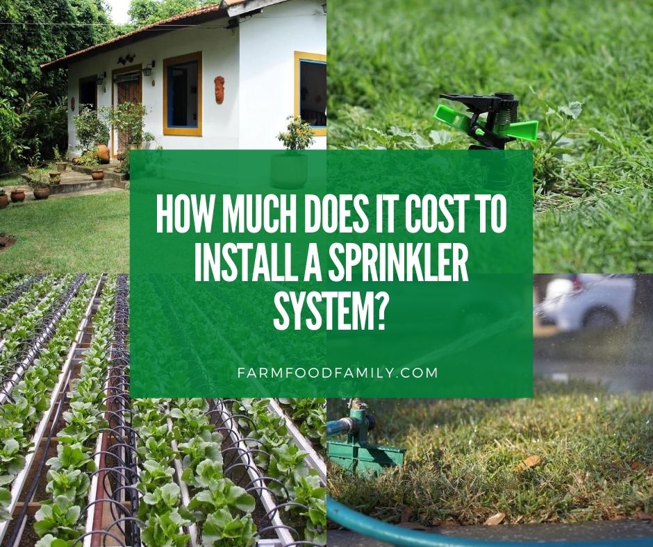 Cost To Install A Sprinkler System, How Much Does It Cost To Put In An Inground Sprinkler System