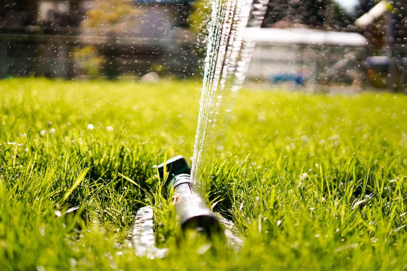 Why Do You Need a Sprinkler System?