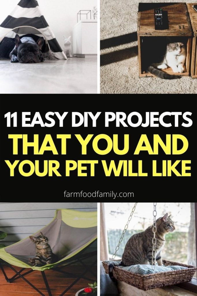 easy diy projects for pet