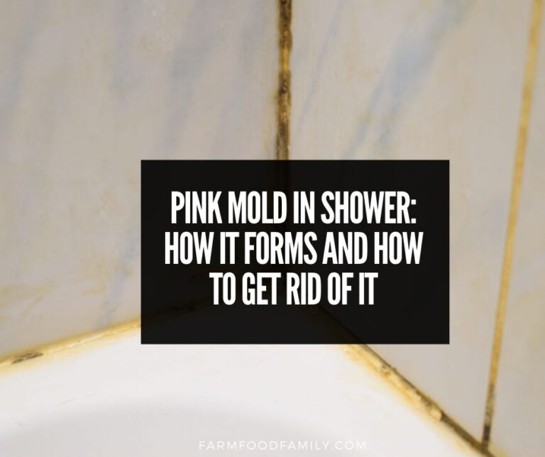 Pink Mold In Shower: How It Forms and How To Get Rid Of It