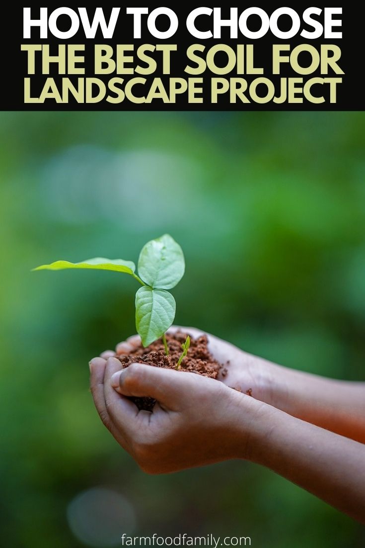 how to choose best soil for landscape project