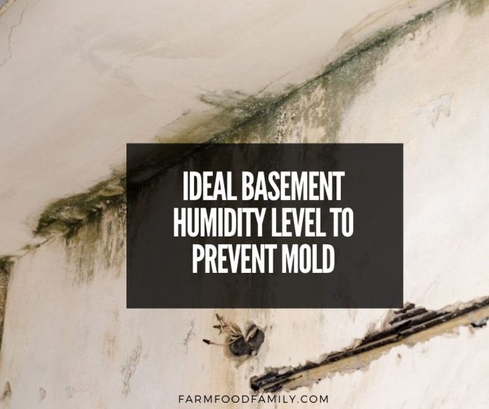 what is the ideal finished and unfinished basement humidity level