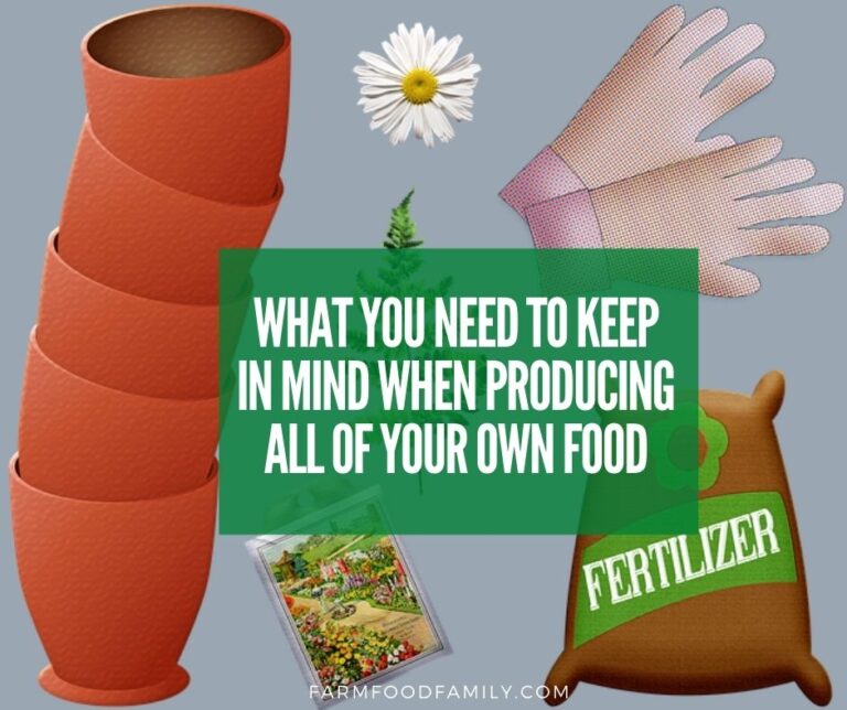 What You Need to Keep in Mind When Producing All of Your Own Food