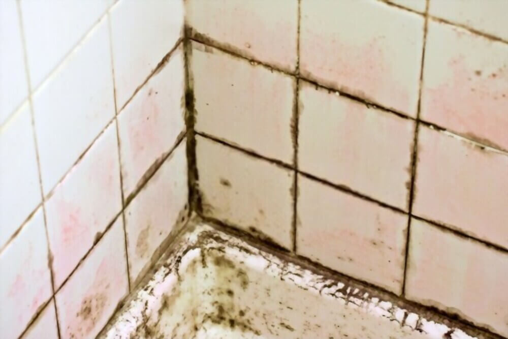 Pink mold in shower