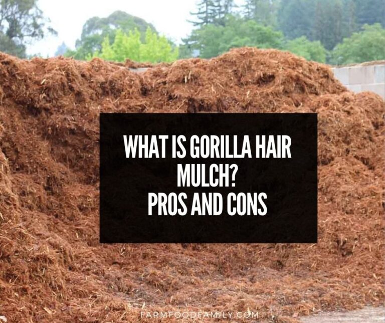 What Is Gorilla Hair Mulch and Is Gorilla Hair Mulch Good For Landscaping?