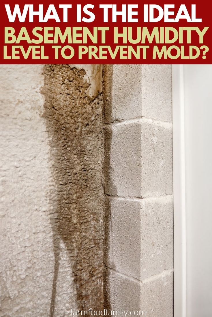 what is ideal basement humidity